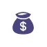 Money Icon
